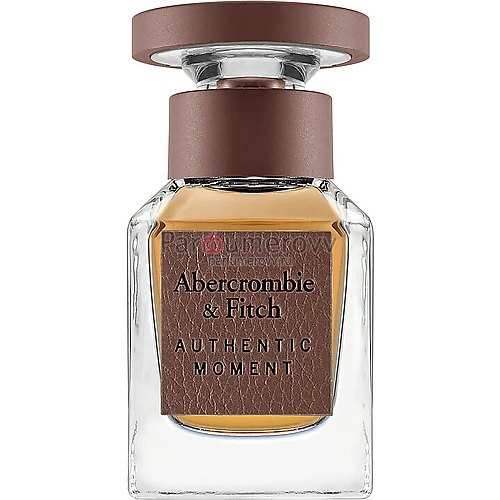 ABERCROMBIE & FITCH AUTHENTIC MOMENT men tester 100ml edT NEW