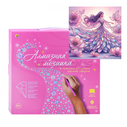 Алмазная мозаика 30х30 