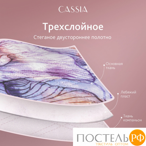 CASSIA ИРИСЫ сир. Покрывало 230x250-1/50х70 наволочки-2, 3пр.