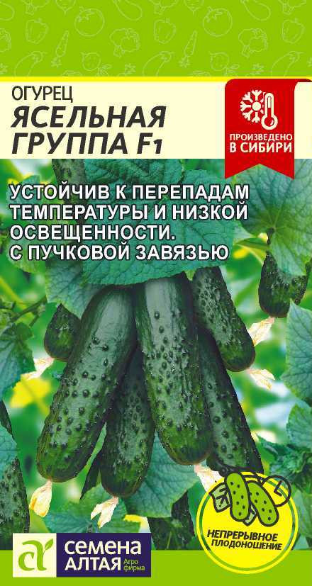 Огурец Ясельная Группа F1 Сем.Алтая