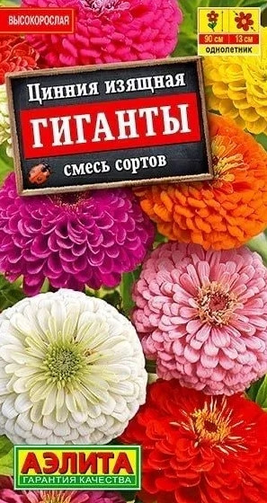 Цинния Гиганты Аэлита