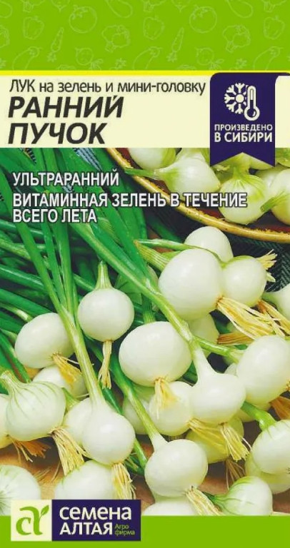 Лук на зелень и Мини-Головку Сем.Ал