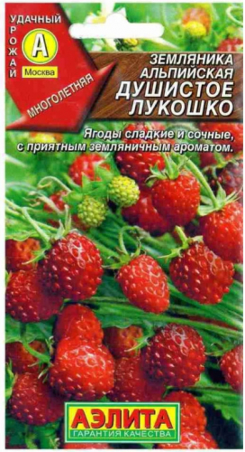 Земляника Душистое Лукошко