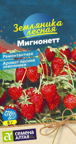 Земляника Мигнонетт Сем.Алтая