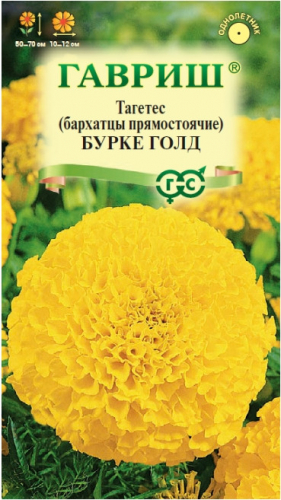 Бархатцы Бурке Голд Гавриш