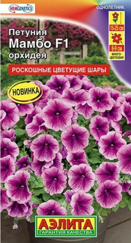 Петуния Мамбо F1 Орхидея Аэлита