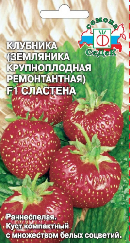 Клубника Сластена F1 СеДек