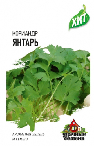 Кориандр Янтарь хит3