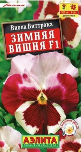 Виола Зимняя Вишня F1 Виттрока Аэли