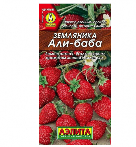 Земляника Али-Баба