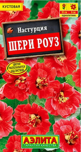 Настурция Шери Роуз Аэлита