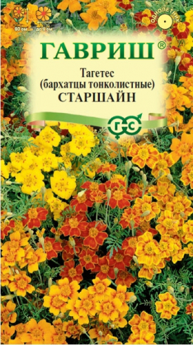 Бархатцы Старшайн Гавриш