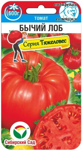 Томат Бычий Лоб Сиб.Сад