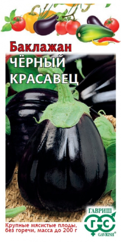 Кабачок цук Черный Красавец Гавриш