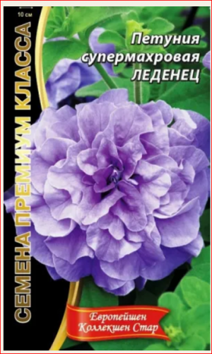Петуния Леденец (6 сем) супермахровая