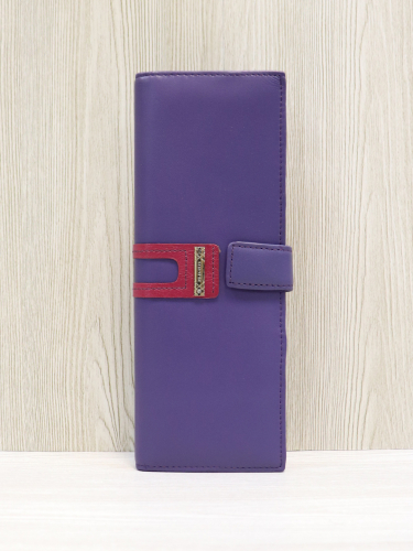 Кляссер (визитница) ELIGIUS54005DFIO