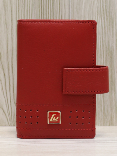 Кляссер (визитница) LV097-303B