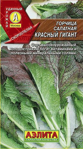 Горчица Красный гигант салатная // Аэлита