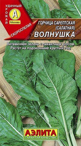 Горчица листовая Волнушкалидер) // Аэлита