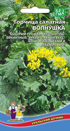 Горчица салатная Волнушка // Уральский Дачник
