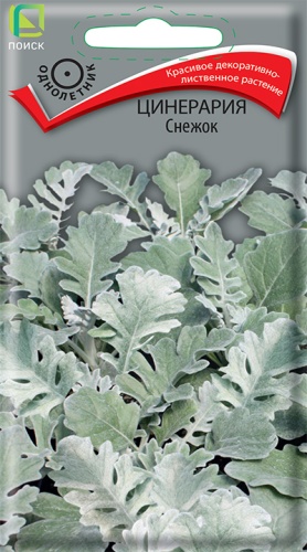 Цветы Цинерария Снежок 0,1 г ц/п Поиск (однол.)