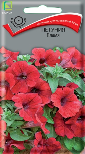 Цветы Петуния Пламя 0,1 г ц/п Поиск