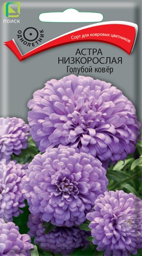 Цв. Астра Низкорослая Голубой ковер 0,2 г ц/п Поиск