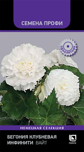 Цветы Бегония клубневая Инфинити Вайт, 7 шт ц/п Поиск (комн.)