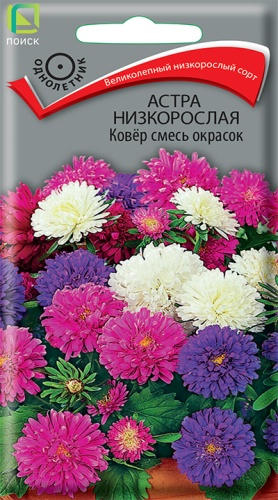 Цв. Астра Низкорослая Ковер, смесь 0,2 г ц/п Поиск