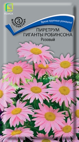 Цветы Пиретрум Гиганты Робинсона Розовый 0,1 г ц/п Поиск (мног.)