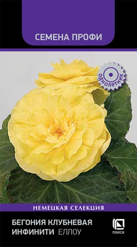 Цветы Бегония клубневая Инфинити Еллоу, 7 шт ц/п Поиск (комн.)
