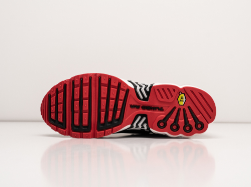 Кроссовки Nike Air Max Plus 3
