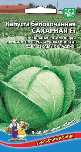 Капуста белокочанная Сахарная F1 // Уральский Дачник
