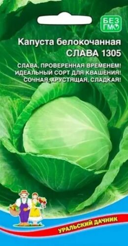 Капуста белокочанная Слава 1305 // Уральский Дачник