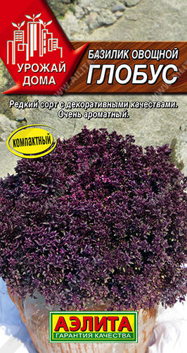 Базилик Глобус // Аэлита