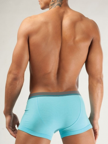 OPIUM Opium Трусы мужские boxer R82