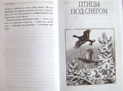  66 руб. +% 416 руб. В наличии 1 шт.!!! КЛАДОВАЯ СОЛНЦА. М.Пришвин