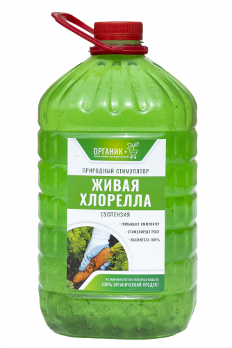 Суспензия Хлореллы 3 л (6 шт)