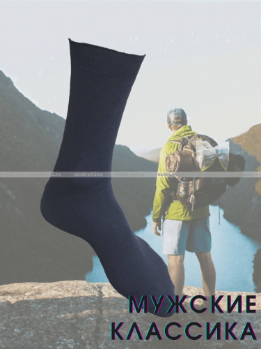 Легион носки мужские синие