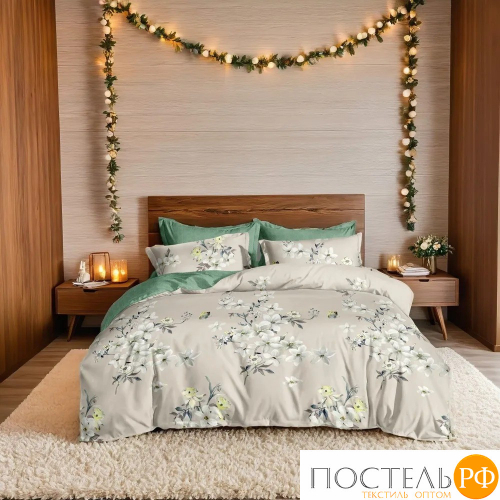 КПБ CL HOME Поплин 