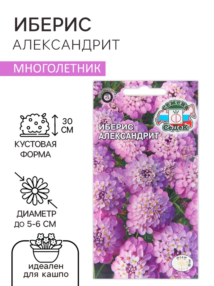 Семена цветов Иберис