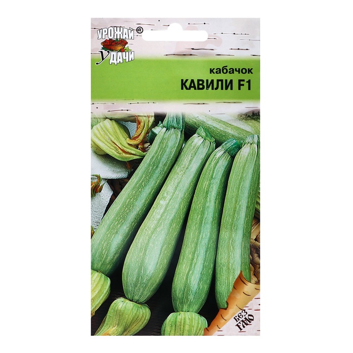 Семена Кабачок