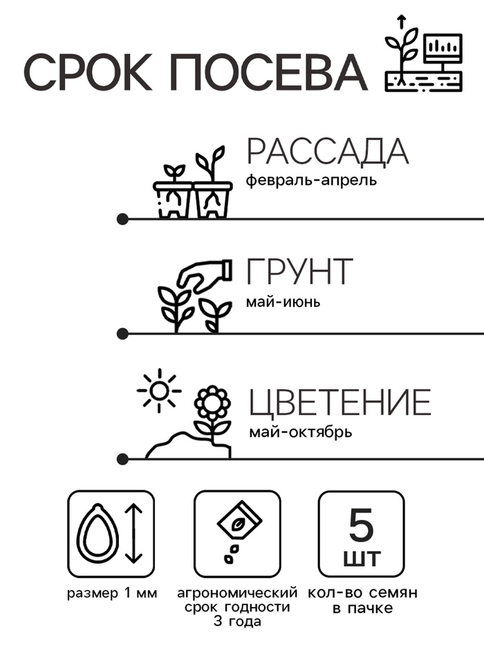 Семена цветов Катарантус