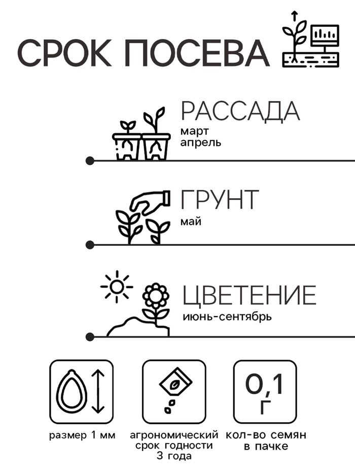 Семена цветов Иберис