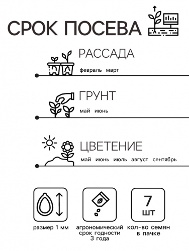 Семена  Петуния 
