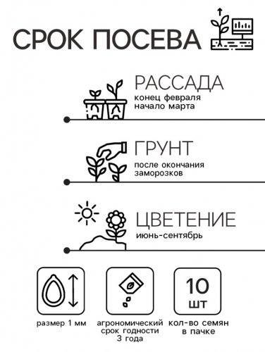 Семена цветов Катарантус Пацифика 