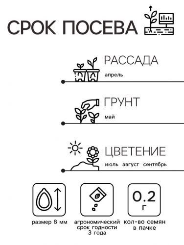 Семена  цветов Астра Пионовидная, смесь окрасок, О, 0,2 г