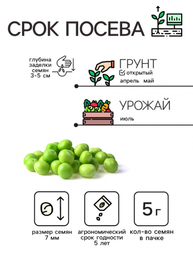 Семена Горох сахарный 