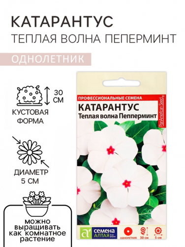 Семена цветов Катарантус 