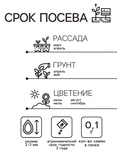 Семена комнатных цветов Мимоза 